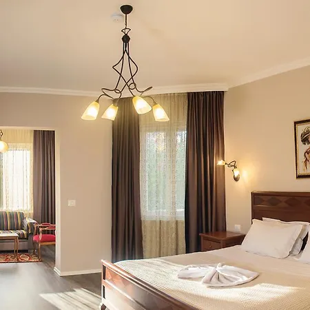 Vila Bregu Hotel