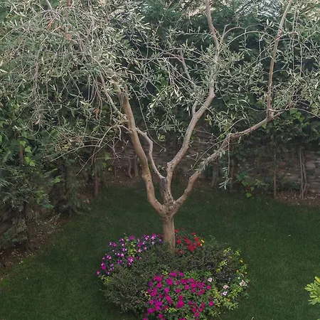 海岸别墅酒店 4*